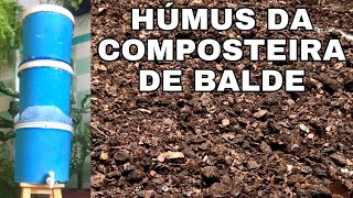 🟢Composteira Doméstica de Baldes  parte 4  preparando HÚMUS DE MINHOCA [upl. by Norved]