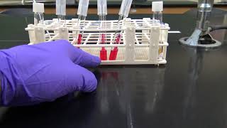 PNW Westville  Microbiology Phenol Red Broth Test [upl. by Leander]