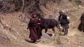 MANASLU what went wrong  NEPAL part 4 HQ [upl. by Axia]