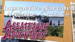 OC Assateague Adventure  Water Cruise Activity in Ocean City MD [upl. by Iniffit]