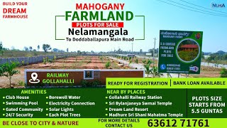 55 Guntas Farmland Plots Bangalore  Mahogany Farms  Nelamangala  Call Us 63612 71761 [upl. by Kraul]