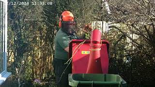 Crown reduction for safety using makitaofficial 18v chainsaw titanpro chipper Stihl KM56RC [upl. by Malda]