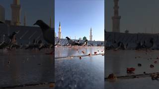 Khalid Hussain Khalid 😭 love mecca madina kaaba islam shorts trending shortsfeed beautiful [upl. by Asillim]