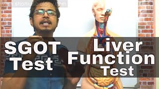 SGOT test in Hindi  SGOT test procedure [upl. by Curnin]