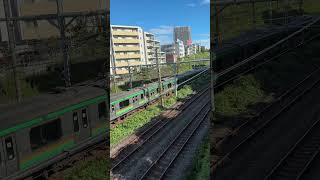 【４K映像】【並走】東海道線 下り電車 湘南新宿ライン 下り電車 Tokaido Line downbound Train Shounanshinjyuku Line downbound Train [upl. by Horn]