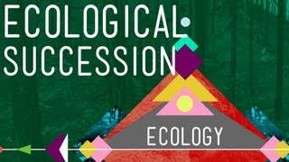 Ecological Succession Change is Good  Crash Course Ecology 6 [upl. by Gorrono]