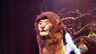 Festival of the Lion King  Full Show in HD [upl. by Ennaira]