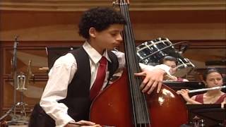 Dragonetti Doublebass Concerto · Rubén Rodríguez · Orquesta Sinfónica Juvenil de Caracas [upl. by Eenolem]