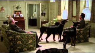 Dobermans in movie  16 part 2  Доберманы в кино [upl. by Yancey]