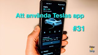 31 Full genomgång av Teslas app  Tesla Model 3 [upl. by Aryc]