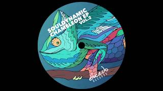 Souldynamic  Akinesia Chameleon EP Vol2  Excedo Records [upl. by Meisel]