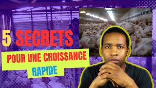 Aviculture en afrique Les 5 Secrets pour la croissance de ta ferme [upl. by Analah179]