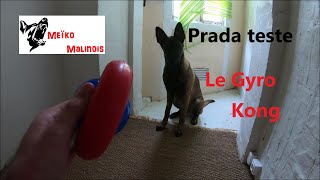 Test de jouet  Le Gyro Kong [upl. by Nolava]