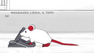 Trappola per Topi PRO SuperCat [upl. by Llenrahs]