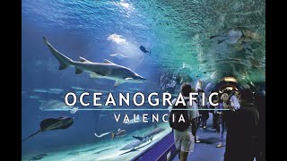 OCEANOGRÁFIC  EL ACUARIO MAS GRANDE DE EUROPA [upl. by Hakkeber]