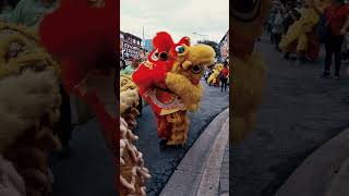 Dragon amp Lion Dance  Chinatown BIA Festival  Toronto [upl. by Audsley]