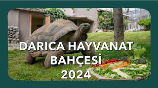 Darıca Hayvanat Bahçesi Gezisi 2024 [upl. by Bergen685]