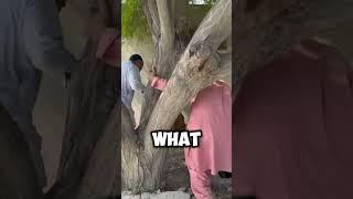 Stealing 1000 Indian Mangoes GONE EXTREMELY WRONG [upl. by Mlehliw]