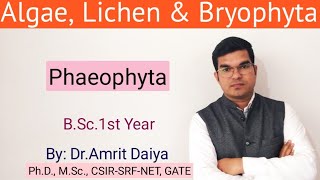 Phaeophyceae  Hindi amp English  BSc Botany  ACF NEET  By DrAmrit Daiya [upl. by Bamberger546]