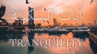 آيات السكينة لدفع القلق والهموم  AYAT OF TRANQUILITY  SAKINAH [upl. by Baoj]