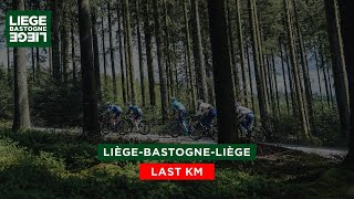 Cyclisme  LiègeBastogneLiège 2024  Aurélien ParetPeintre  quotCest une belle journée quot [upl. by Etyak579]