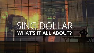 DBS Macro Insights Singapore Dollar  Whats it all about [upl. by Damara183]