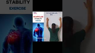 Scapular Stability Exercises [upl. by Eramat]