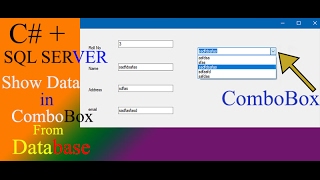 C WPF Tutorial 14 How to Link Combobox with Database values [upl. by Legnalos]