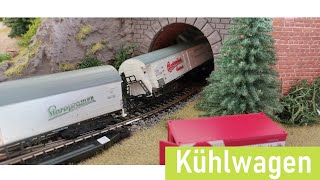 Wagenschau Kühlwagen 4achsig  Spur TT [upl. by Purdum]