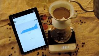 V60 Brewing Tutorial [upl. by Atinyl]