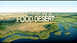 Living In a Food Desert Documentary [upl. by Navnod]