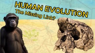 7 Million Years Ago Sahelanthropus tchadensis  The Missing Link [upl. by Martha]