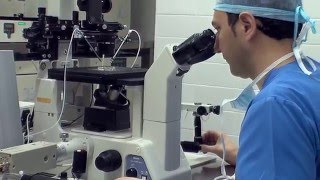 In Vitro Fertilization IVF  Overview [upl. by Atinhoj]