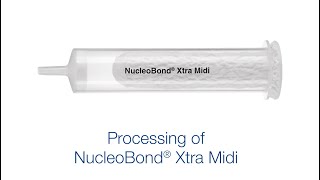 Processing of NucleoBond Xtra Midi [upl. by Dotty651]