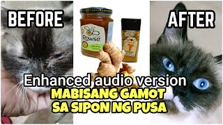 Gamot sa ubo at sipon ng pusa  Paano gamutin ang sipon at ubo  short version and enhanced audio [upl. by Pippo]