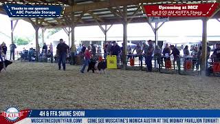 Muscatine County Fair  4H and FFA Swine Show  LIVE [upl. by Eerpud]