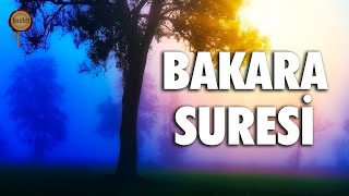 Bakara Suresi  Evdeki Geçimsizliğe Huzursuzluğa Sıkıntılarınıza Şifa  Eyad Mohra [upl. by Akeinahs583]