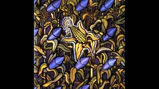 Bad Religion  Against The Grain Full Album [upl. by Eninahs]