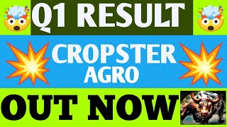 Cropster Agro Q1 Results 2025  Cropster Agro Results Today  Cropster Agro share news today [upl. by Doniv]