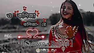 ও কলিজা কলিজা রে Slowed ampReverbO Kolija Kolija Re New Song  Bangala Tiktok Viral Song  Sad Song [upl. by Ynafets]