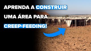 Aprenda a construir uma área para creepfeeding [upl. by Quennie108]