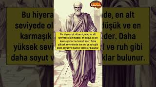 1 Dakikada Plotinus Felsefesi felsefe shorts [upl. by Ahsyek]