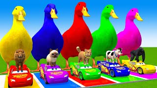 5 Giant Duck CartoonCowElephantGiraffeTigerLion Paint Wild Animals Crossing Fountain Animation [upl. by Inuat]