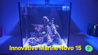 Innovative Marine Nuvo 15 99 AIO Reef Aquarium [upl. by Orodisi]