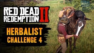 Red Dead Redemption 2 Herbalist Challenge 4 Guide  Pick 5 mushrooms and feed them to your horse [upl. by Seaden]