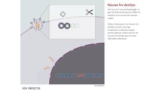 Vermenigvuldiging van het hiv virus [upl. by Till]