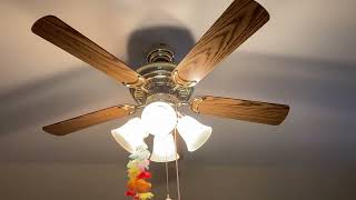 Ceiling fans in my house running on all speeds [upl. by Narcissus]