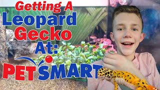 Getting a Leopard Gecko at PetSmart [upl. by Alurd221]