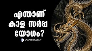 What is Kala Sarpa Yogam  Pranavam  Ladies Hour [upl. by Brice469]