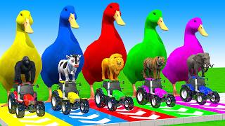 5 Giant Duck Cartoon Cow Mammoth Elephant Lion Paint Wild Animals Crossing Fountain Animation [upl. by Notnilc567]